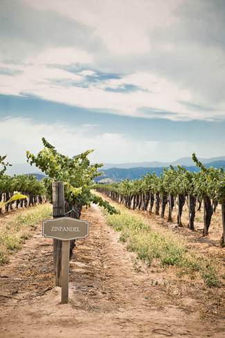 Pink and Peach Summer Vineyard Vintage Wedding