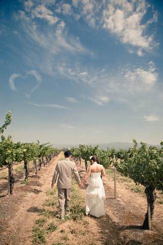 Pink and Peach Summer Vineyard Vintage Wedding