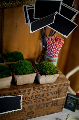 Red and Blue Rustic DIY Wedding