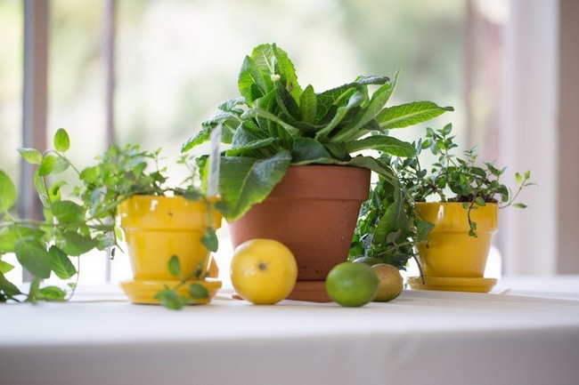 Lime Green and Yellow Handmade Wedding