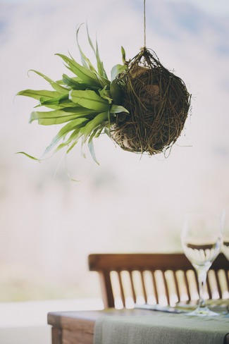 Outdoor Wedding in White & Green {Dornier Wine Estate}