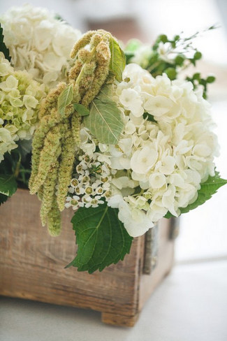 Green White Rustic Knoxville Outdoor Wedding