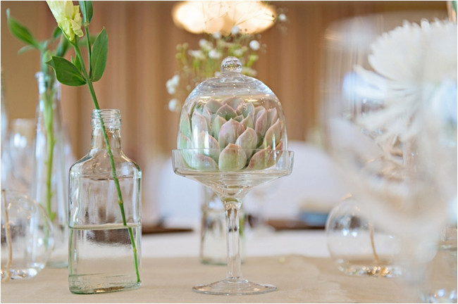 Proteas & Prettiness, Isiphiwo Boutique Hotel Wedding