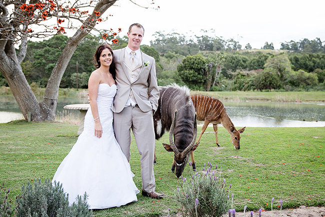 Turquoise & White Country Love Wedding, East London