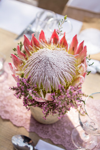 Blush and Green Rustic Outdoor Farm Wedding