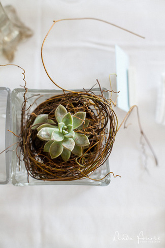 Simple Country Elegance, Stanford Valley Wedding, South Africa