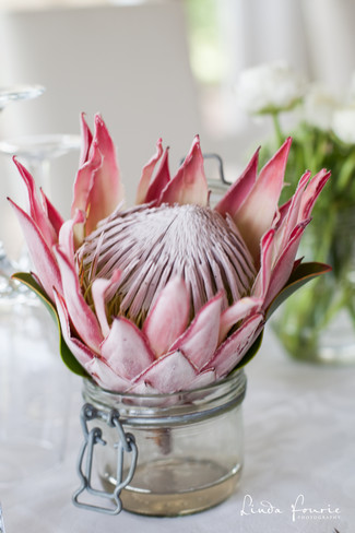 Simple Country Elegance, Stanford Valley Wedding, South Africa