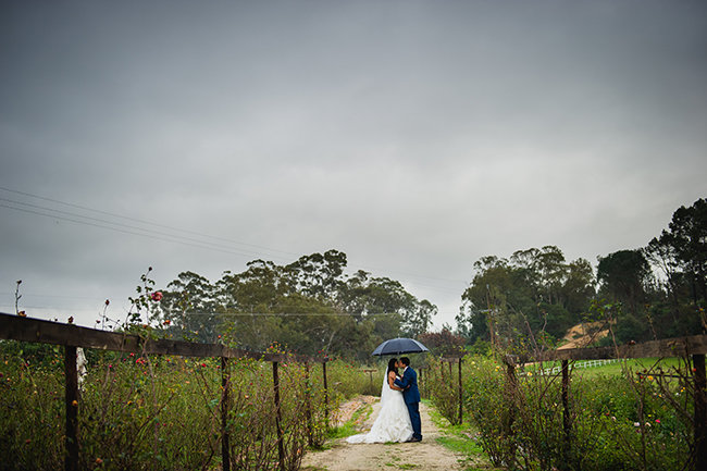 Pearls and Lace Pink Love Birds Wedding at Langkloof Roses