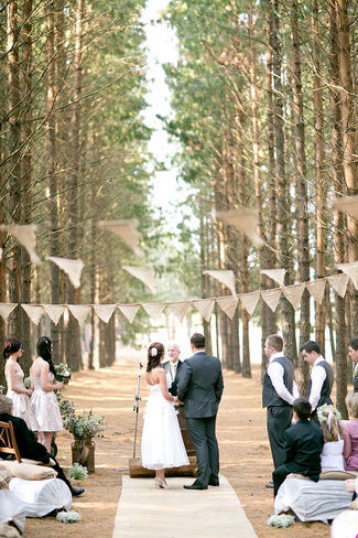 Baby's Breath & Succulents - South African Farm Wedding