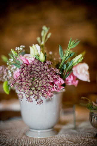 Baby's Breath & Succulents - South African Farm Wedding