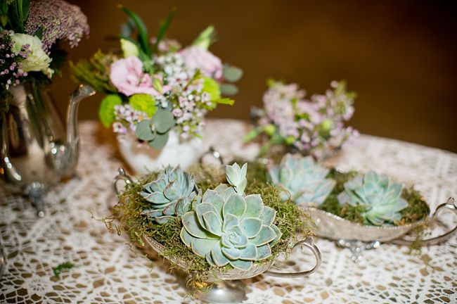 Baby's Breath & Succulents - South African Farm Wedding