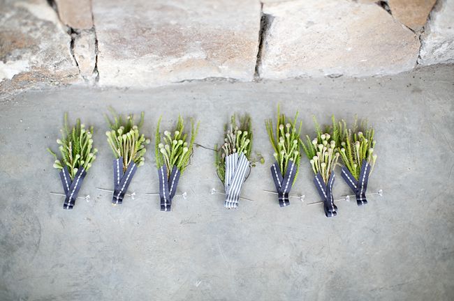 Babys Breath & Succulents - South African Farm Wedding