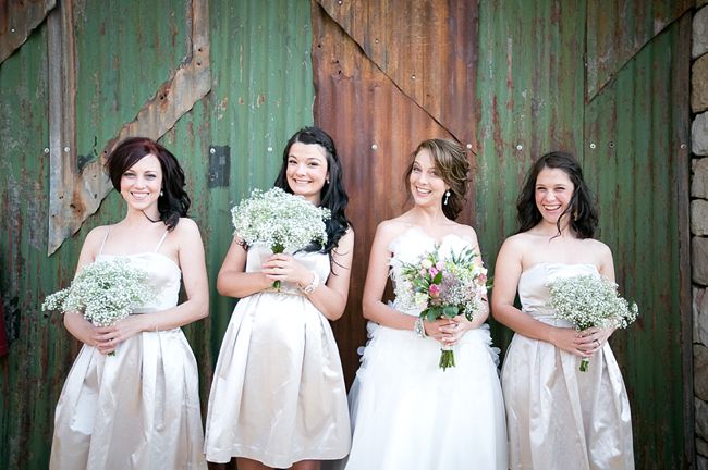 Babys Breath & Succulents - South African Farm Wedding