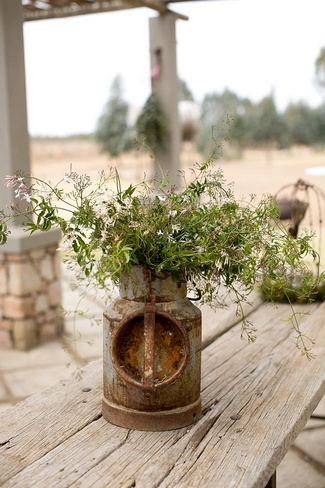 Baby's Breath & Succulents - South African Farm Wedding