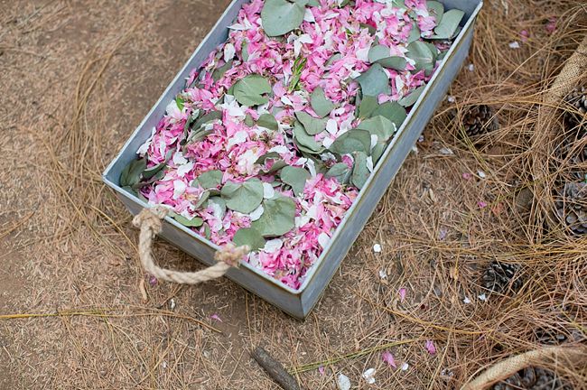 Baby's Breath & Succulents - South African Farm Wedding