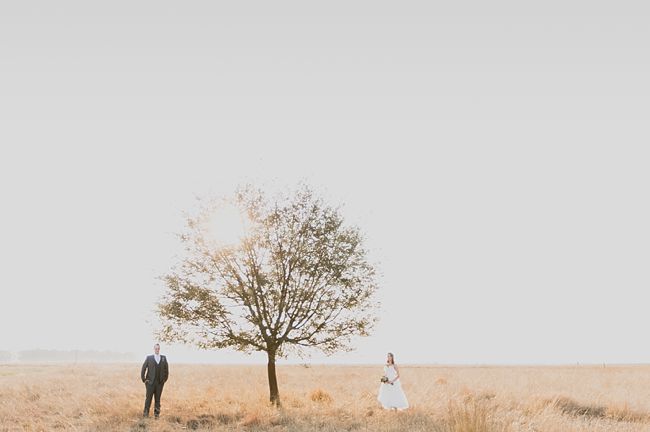 Baby's Breath & Succulents - South African Farm Wedding