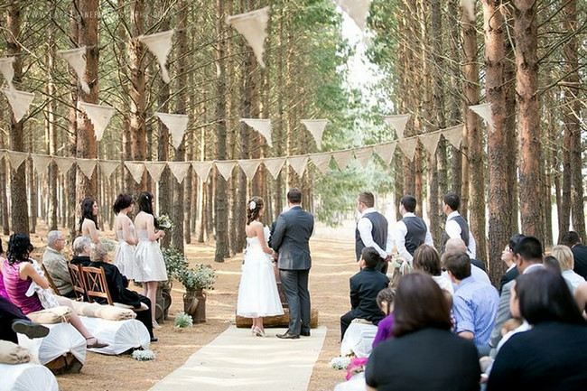 Baby's Breath & Succulents - South African Farm Wedding