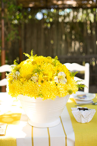 Quirky Yellow Outdoor Wedding, Riebeek Kasteel