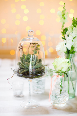 Vintage Peach and Mint Wedding, Wellington