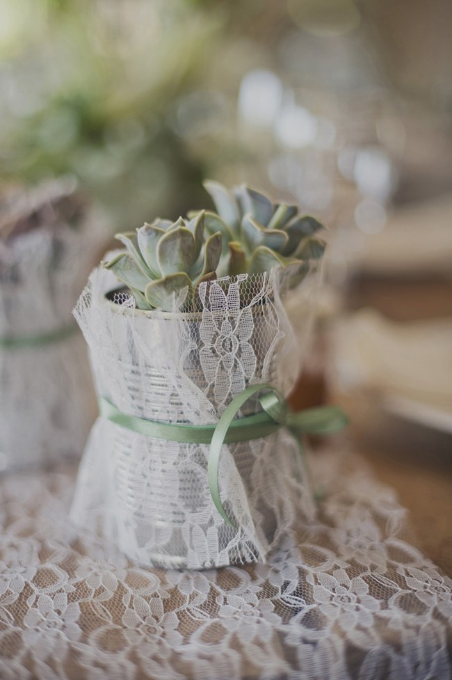 Powder Blue Lace Succulent Wedding Nutcracker Country Retreat 002