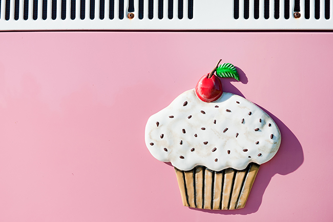 Cupcakes and Combis Pink Engagement Shoot (15)