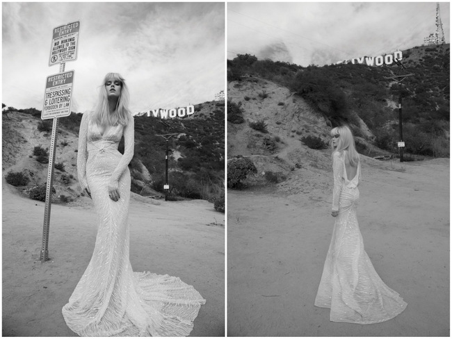 Inbal Dror Wedding Dress Collection 2014 Gown 7 (1)