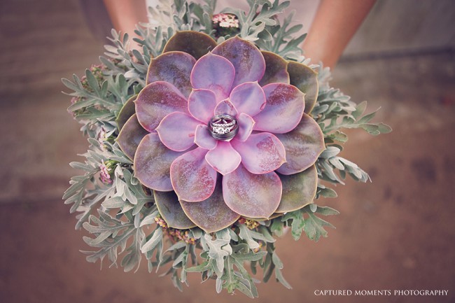 Succulent Bouquet :: Captured Moments Photography :: Via ConfettiDaydreams.com