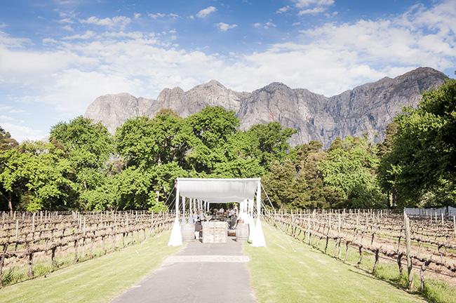 Outdoor Wedding Ceremony :: Pale Yellow, White & Coral Winelands Destination Wedding (South Africa) :: Joanne Markland Photography :: ConfettiDaydreams.com Wedding Blog 