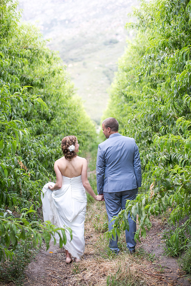 Mint Yellow Purple Tulip Garden Wedding -Olive Rock - Adene Photography