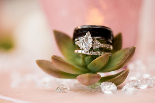 Wedding Rings on Succulent // Rustic Country Wedding in Blush Navy // Meet The Burks Photography