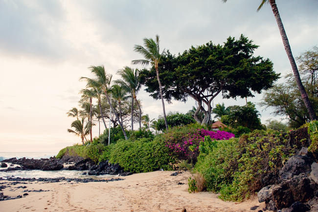 Maui Beach Wedding Ceremony // Rustic Coral & Mint Destination Beach Wedding // BellaEva Photography