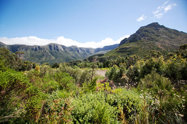 Outdoor Mountain Wedding Ceremony at Silvermist, Cape Town // Moira West Photography