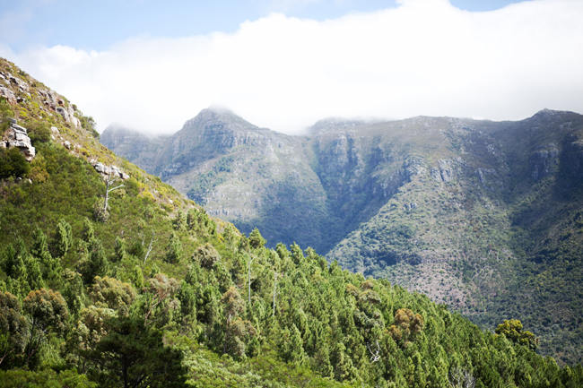 Outdoor Mountain Wedding Ceremony at Silvermist, Cape Town // Moira West Photography