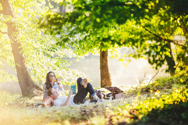 Totally rad Wes Anderson-Inspired vintage picnic engagement shoot photographs // Tesar Photography