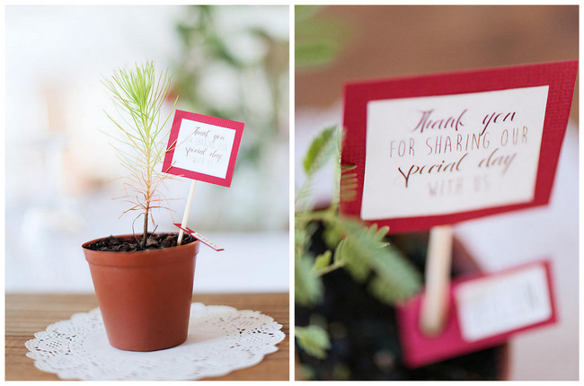 Tree Guest Favors // Red Brown White Autumn Wedding // Christopher Smith Photography - www.Cjphoto.co.za