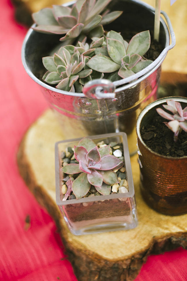 Relaxed, Picnic Style Farm Wedding // Micaela De Freitas Photography