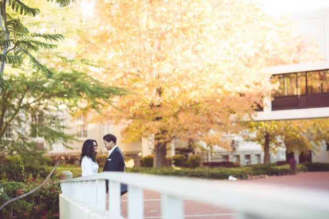  Library Engagement Shoot // Lilac Photography