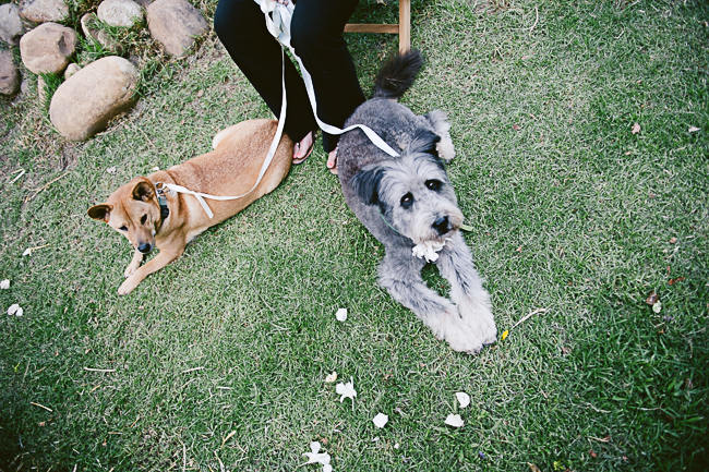 Rustic Bicycle Themed Wedding - Jules Morgan Photography (36)