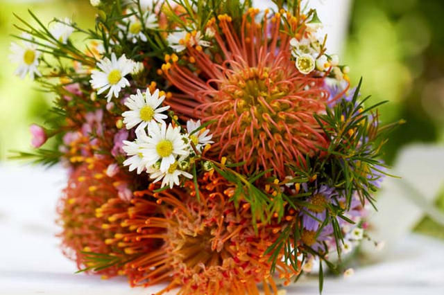 Pin Cushion Proteas // Navy Blue Beach Wedding