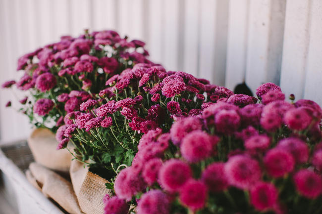 Purple and Cream Gingham Farm wedding // Audra Starr