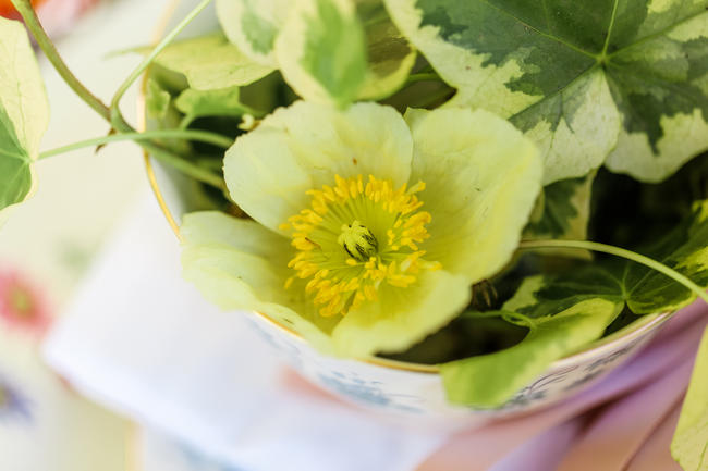 Whimsical Garden Wedding flowers in Peach, green and silver Grey // Nikki Meyer Photography