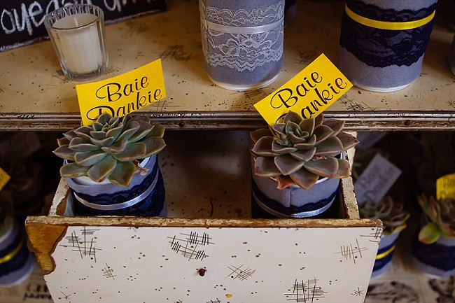 Succulent wedding favors // Yellow and Grey DIY Vintage Wedding // Miracles Photo