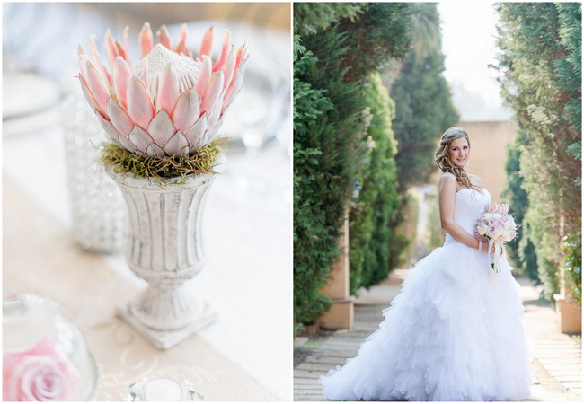 Pink Cream Protea Wedding  (2)