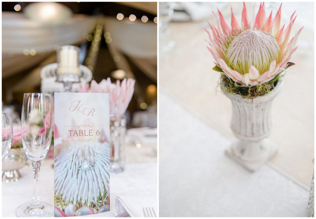 Pink, blush and cream wedding reception table details with stunning King Protea // Lightburst Photography