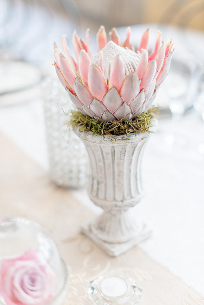 Pink, blush and cream wedding reception table details with stunning King Protea // Lightburst Photography