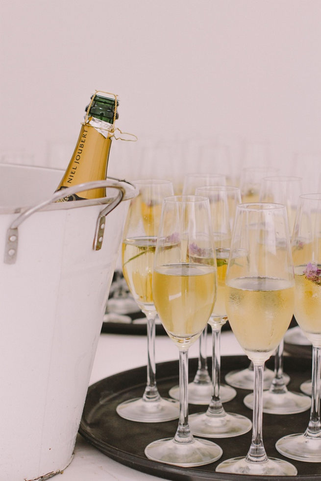Welcome drinks. Click to see this Navy Gold Wedding at Babylonstoren / Charlene Schreuder Photography 