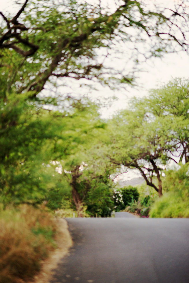 Sage Green & Taupe Rustic  Maui Wedding by Bella Eva Photography