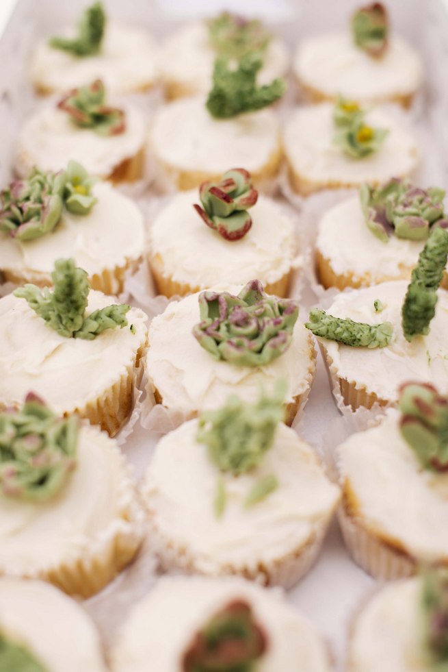 Succulent cupcakes // Succulent Garden Wedding // Claire Thomson Photography