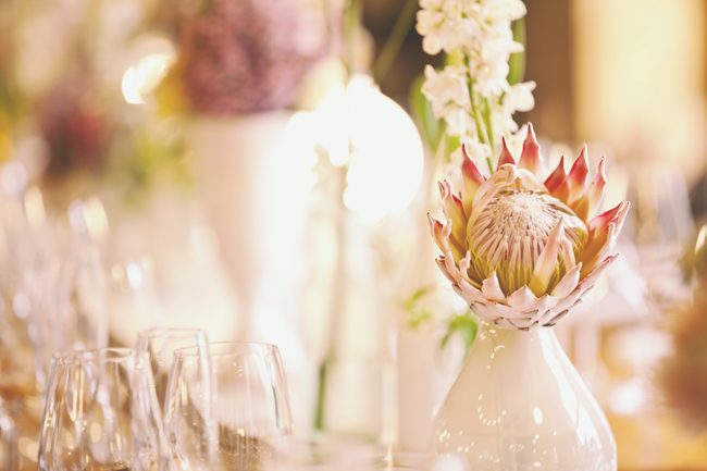 Protea Filled Wedding at Langkloof Roses {Tertius Gous Photography}