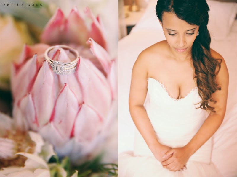 Langkloof Roses Wedding South Africa // Tertius Gous Photography